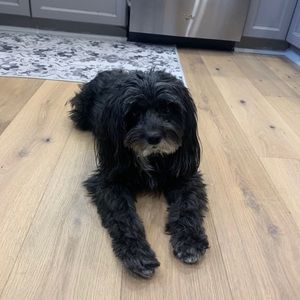 Meet your Posher, Fran